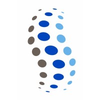Synergy Customs Services Ltd logo - Similar company to Customs Practitioner'S Group (Cpg)