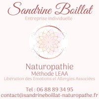 Sandrine Boillat Naturopathe logo - Similar company to Spark Électricité