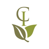 Capital Insight Partners. LLC logo - Similar company to Ritchie Commercial, Inc.