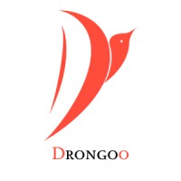 Drongoo logo - Similar company to Pr Information Technology