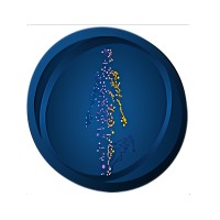 IDMSoft Game Studio logo - Similar company to Alkottab Game Studio