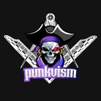 Punkvism logo - Similar company to Metabrawl