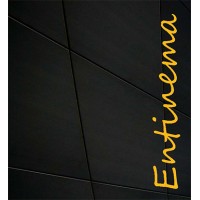 Entinema logo - Similar company to B - Architecture