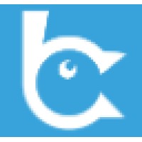 Brandshout Web Design Peterborough logo - Similar company to Dott Creatives