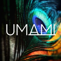 Umami Conseil logo - Similar company to Mastermind Des Légendes