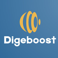 Digeboost logo - Similar company to Bricks And Caps