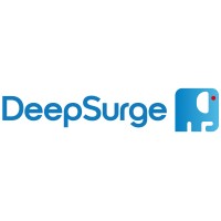 DeepSurge AI logo - Similar company to Chiefex.Com