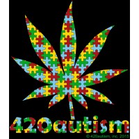 420autism, Inc (non-profit) logo - Similar company to Strategic Partners