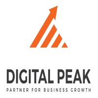 DigitalPeak India logo - Similar company to Data Station