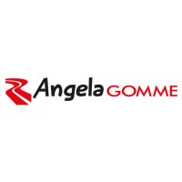 ANGELA GOMME SRL logo - Similar company to Facilitech