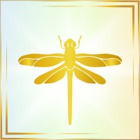 Jana Alisa Liebl I Fly Free Stärkencoaching logo - Similar company to Humannice