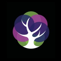 Northern Light Energy logo - Similar company to Softbyte Technologies Limited