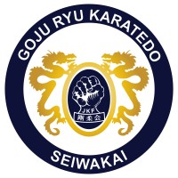 Tri-Valley Karate Pleasanton logo - Similar company to Magnum Force Tkd
