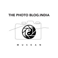 The photoblog.india logo - Similar company to Fin&Finn