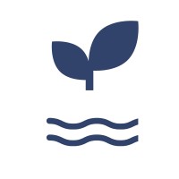 MomindWell logo - Similar company to Wolher