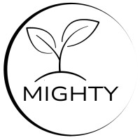 Mighty Consulting logo - Similar company to Mighty Consulting