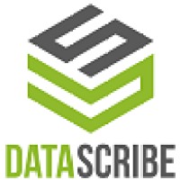 Data Scribe logo - Similar company to Data Extraction Services