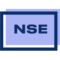 Скандинавская Школа Экономики (NSE) logo - Similar company to Boardmaps