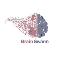 Brainswarm Robotics logo - Similar company to Sti - Sky Technology & Innovations