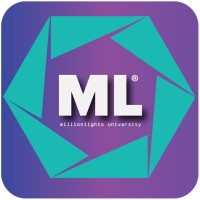 Millionlights logo - Similar company to Tm3D Studio Pvt Ltd
