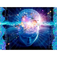 neurosafari logo - Similar company to Gaba Neuroscience Association