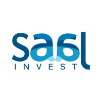 Saal Invest logo - Similar company to Adhoc Geomarketing Research