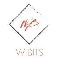 WIBITS logo - Similar company to Crafttech4