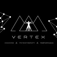 Vertex Performance logo - Similar company to Gameshow All-Stars