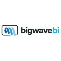 Big Wave BI logo - Similar company to Scaletycs
