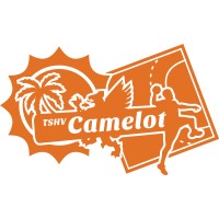 TSHV Camelot logo - Similar company to Study Association Input