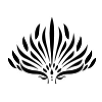 Mahija Studio