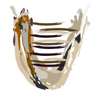 Utopia Australia logo - Similar company to Native Wholesale