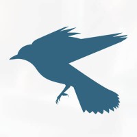 Kingbird Legal logo - Similar company to Profsee