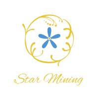 Star Mining logo - Similar company to Premium Mining Llc