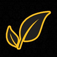 Pinnacle Hemp logo - Similar company to Paper Ghost Digital