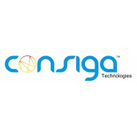 CONSIGA TECHNOLOGIES INC logo - Similar company to Boon Studio
