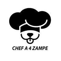 Chef a 4 Zampe logo - Similar company to Dt Prime Piscine