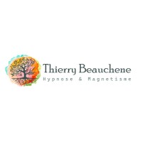 Thierry BEAUCHENE logo - Similar company to Optimum Sécurité