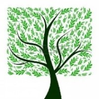 Lifetree Financial, Llc