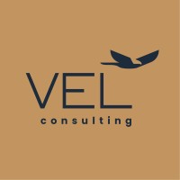 VEL logo - Similar company to Ler E Jogar Distribuidor De Projetos Educacionais