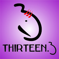 Thirteen.3 logo - Similar company to Captabl