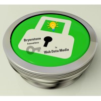 Bryerstone Innovations in Web, Data, and Media logo - Similar company to Sitour Usa