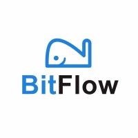 BitFlow NZ logo - Similar company to Mrty