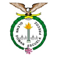 Glenn Doman Escuela Precoz logo - Similar company to Stream Technologies