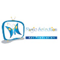 Magic selection animation studio logo - Similar company to shadow animation studio