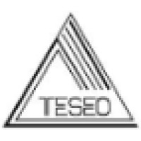Teseo Spa