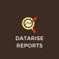 DataRise Reports logo - Similar company to Marketecho Solutions