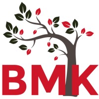 BMK Orthopaedics (Pty) Ltd logo - Similar company to Royal Ortho