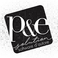 P&E SOLUTION S.r.l. logo - Similar company to Andor Informatica