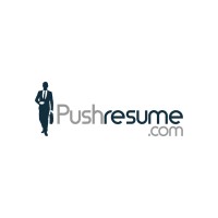 Pushresume NG logo - Similar company to Advanced Blaze Of Technology